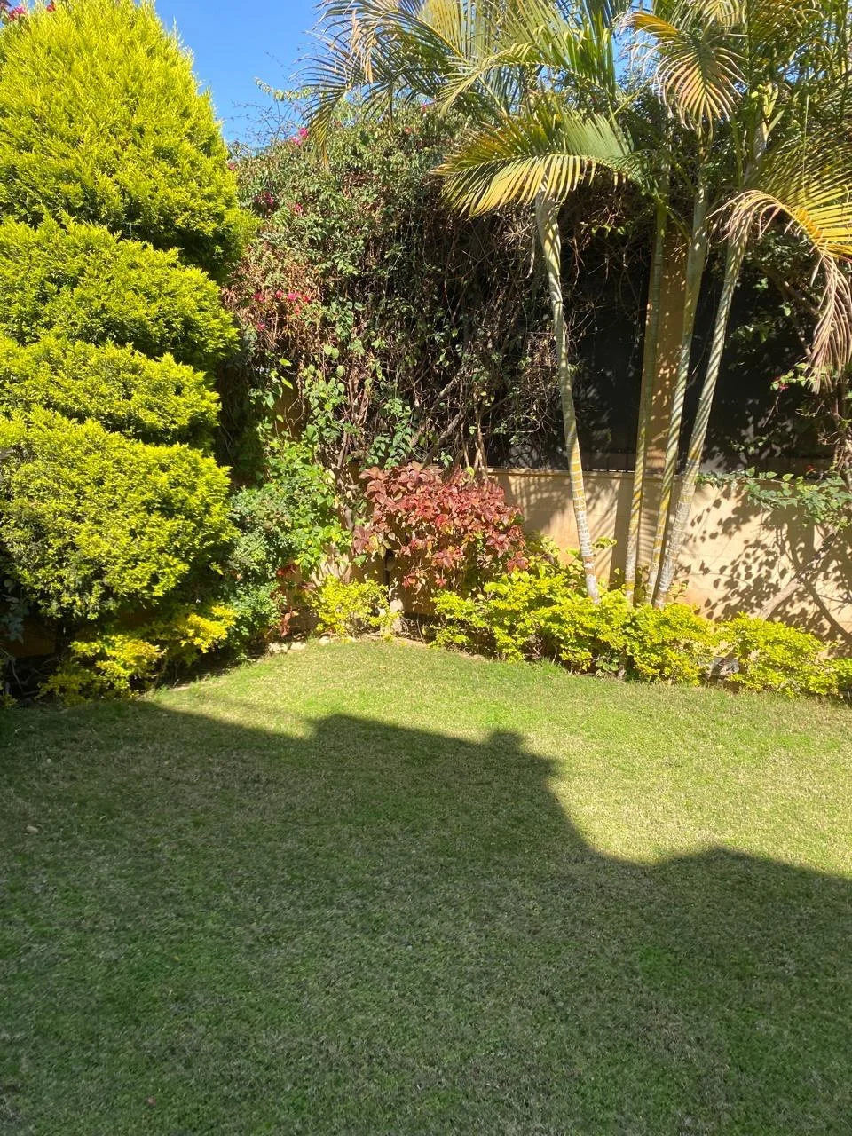 Twinhouse for Sale in Acasia