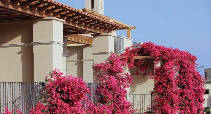 Studio for Sale in Diwa Veranda, Sahl Hasheesh with 1 Bedroom by Inertia Egypt