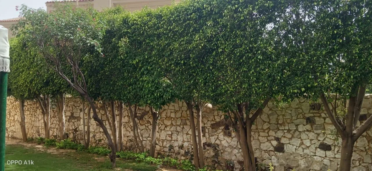 فيلا فاخرة للبيع في كمبوند قطامية هيلز