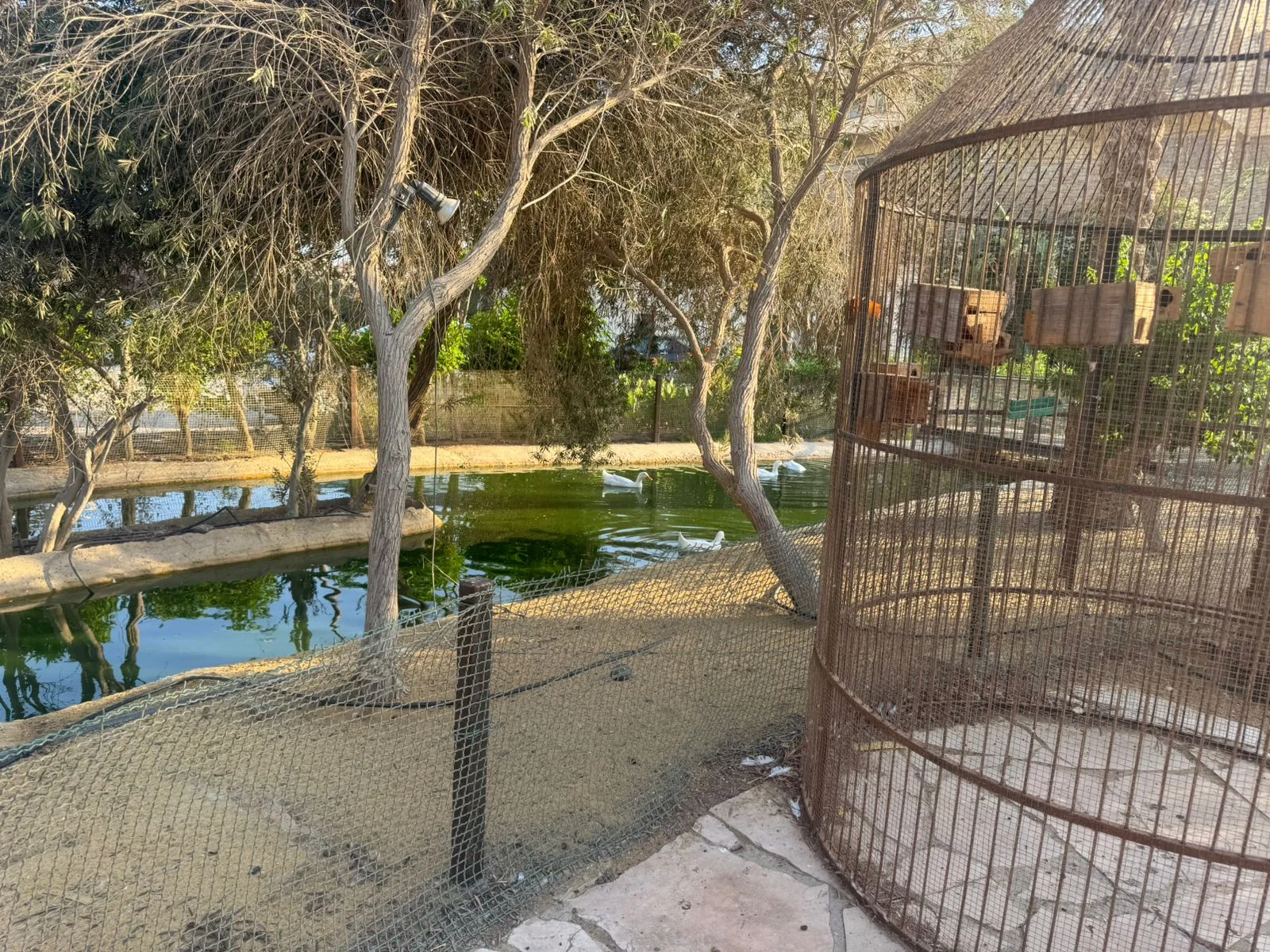 Chalet for Sale in Laguna Bay